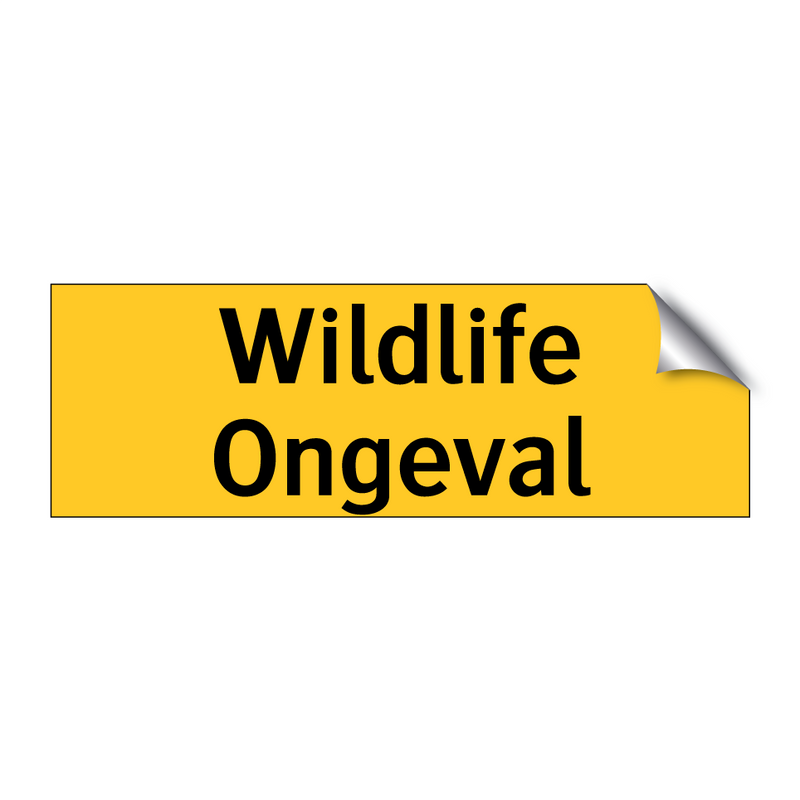 Wildlife Ongeval & Wildlife Ongeval & Wildlife Ongeval & Wildlife Ongeval