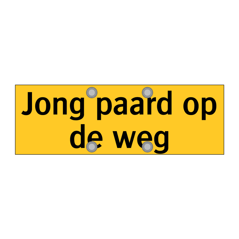 Jong paard op de weg & Jong paard op de weg & Jong paard op de weg