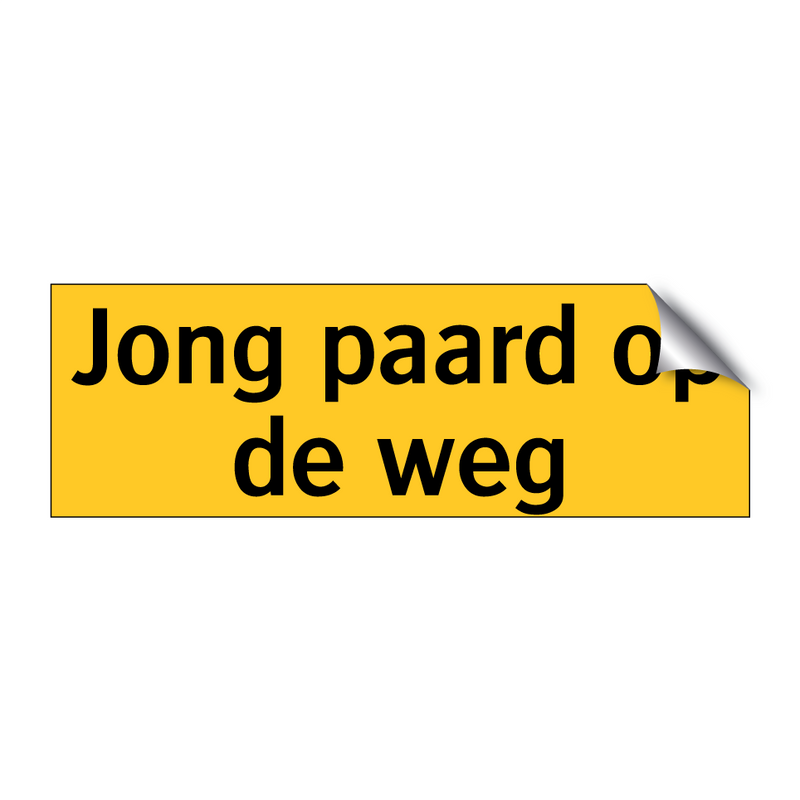 Jong paard op de weg & Jong paard op de weg & Jong paard op de weg & Jong paard op de weg