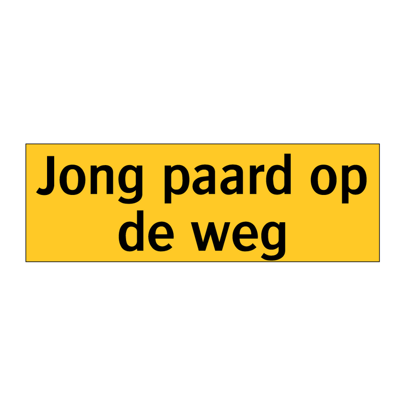 Jong paard op de weg & Jong paard op de weg & Jong paard op de weg & Jong paard op de weg