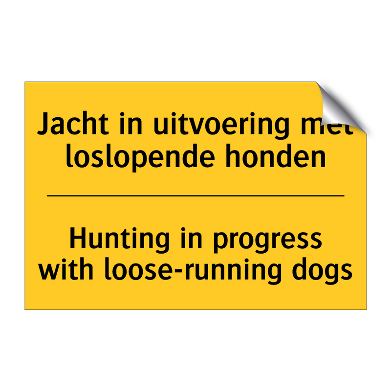 Jacht in uitvoering met loslopende honden - Hunting in progress with loose-running dogs