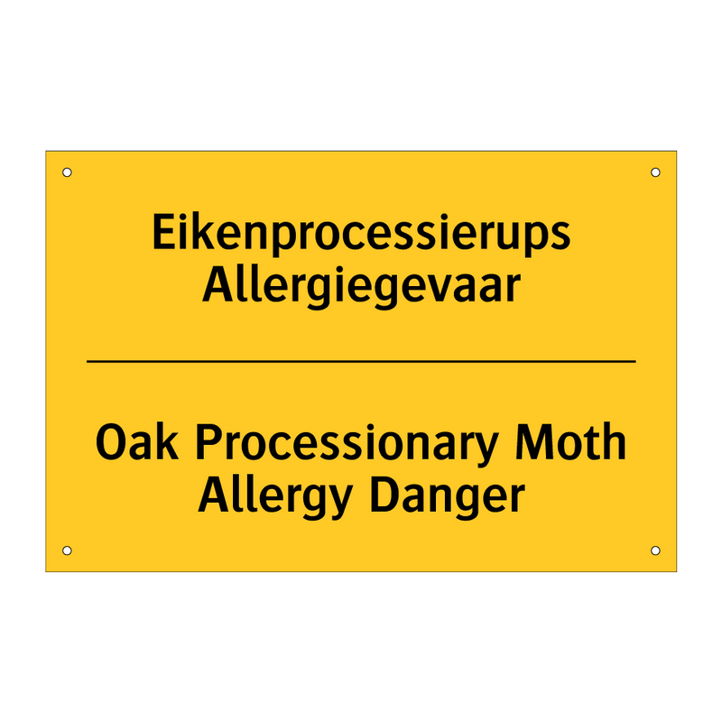 Eikenprocessierups Allergiegevaar - Oak Processionary Moth Allergy Danger