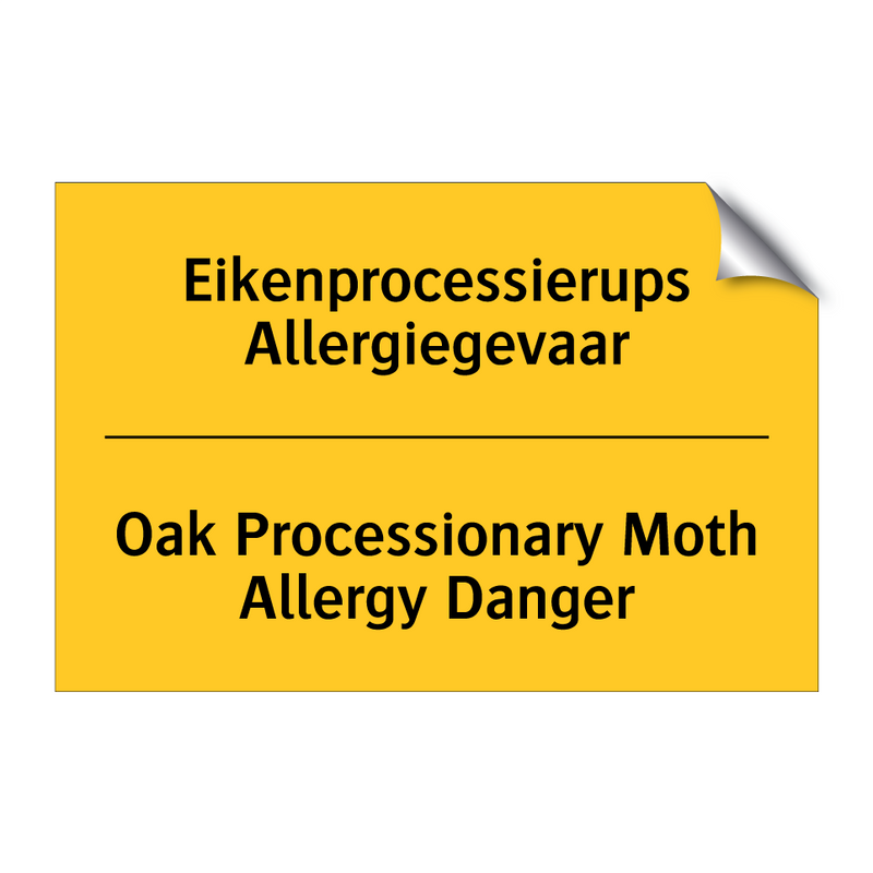 Eikenprocessierups Allergiegevaar - Oak Processionary Moth Allergy Danger