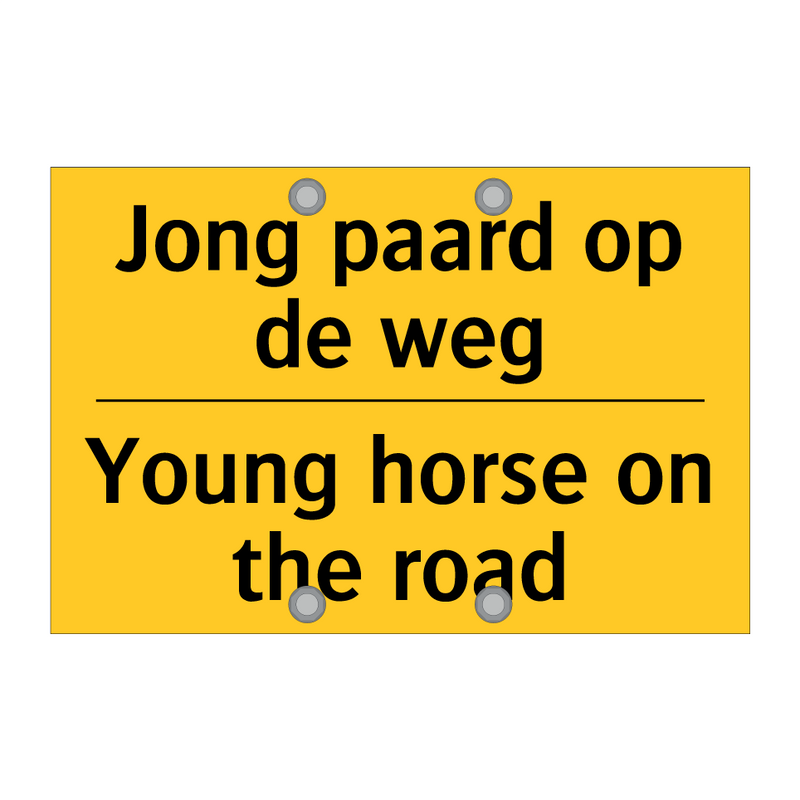 Jong paard op de weg - Young horse on the road & Jong paard op de weg - Young horse on the road