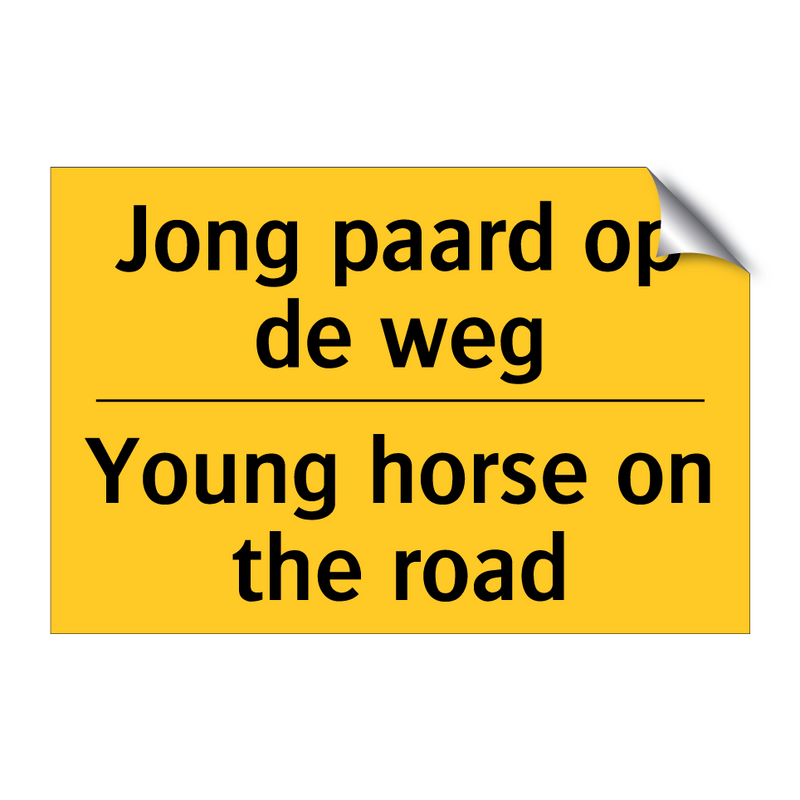 Jong paard op de weg - Young horse on the road & Jong paard op de weg - Young horse on the road