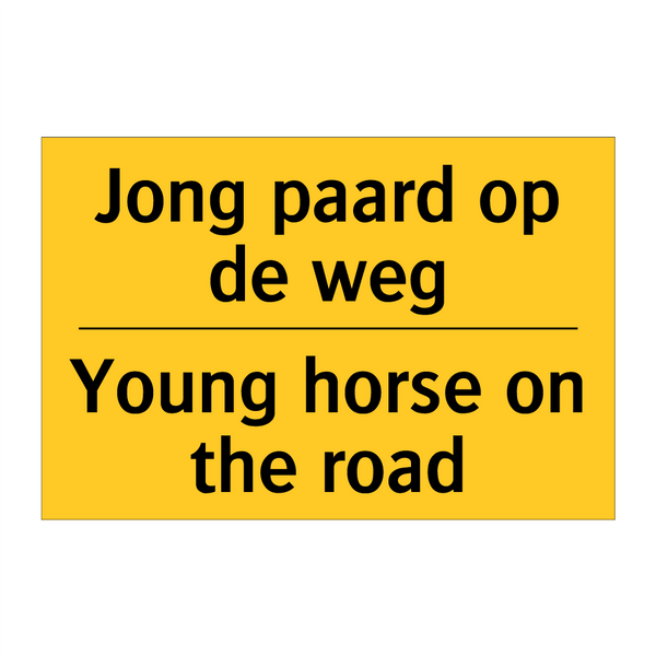 Jong paard op de weg - Young horse on the road & Jong paard op de weg - Young horse on the road