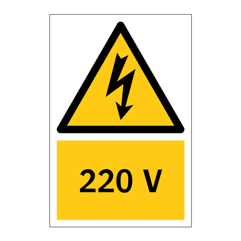 220 V