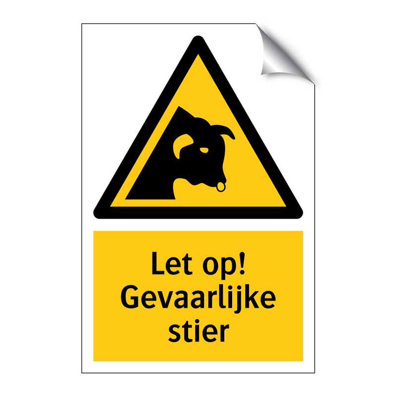 Let op! Gevaarlijke stier