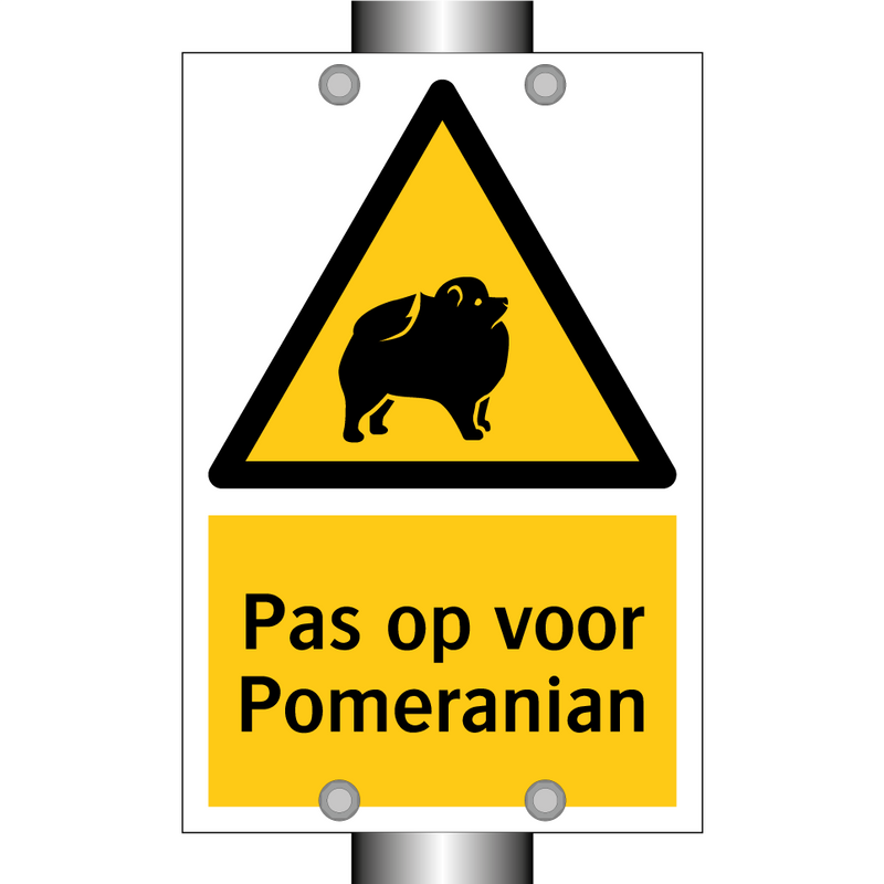 Pas op voor Pomeranian