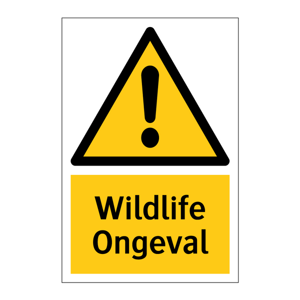 Wildlife Ongeval & Wildlife Ongeval & Wildlife Ongeval & Wildlife Ongeval & Wildlife Ongeval