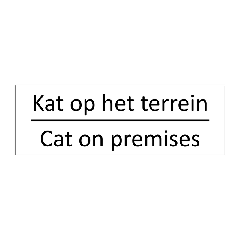 Kat op het terrein - Cat on premises & Kat op het terrein - Cat on premises