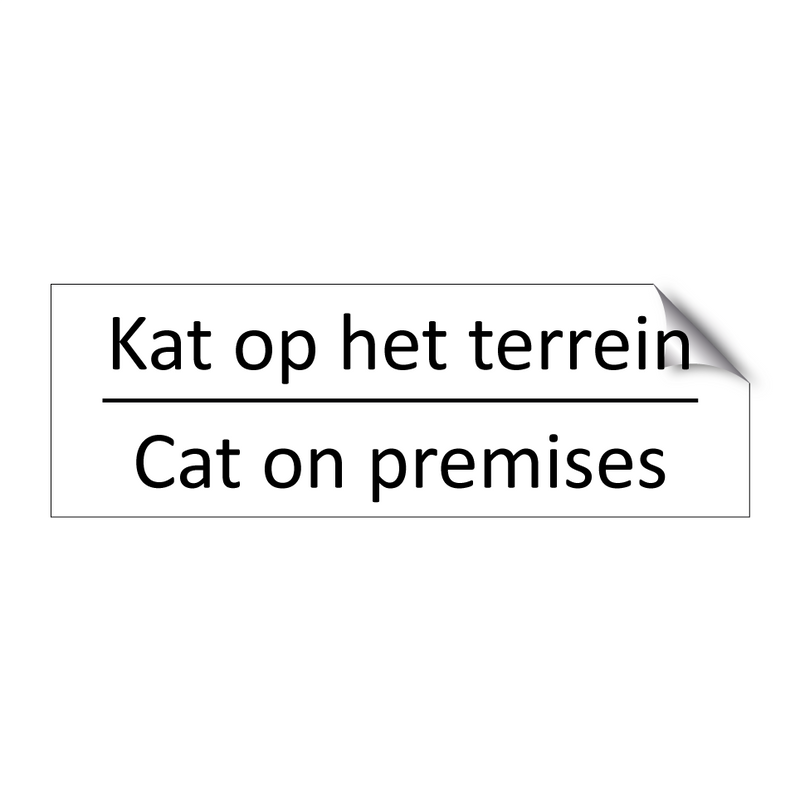 Kat op het terrein - Cat on premises & Kat op het terrein - Cat on premises